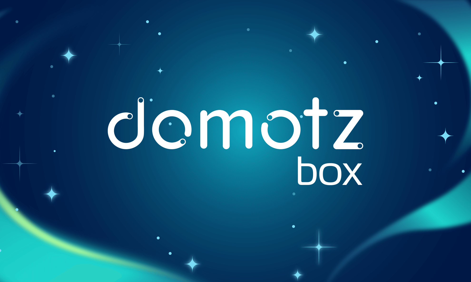 Domotz Box Installation Options