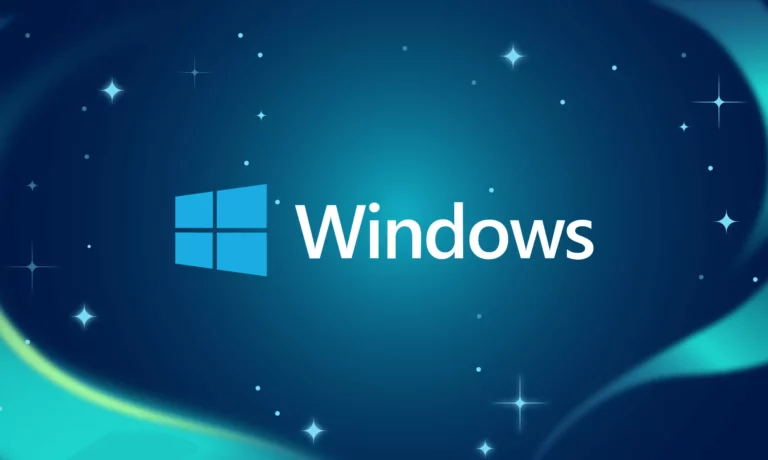 Windows Installation Options