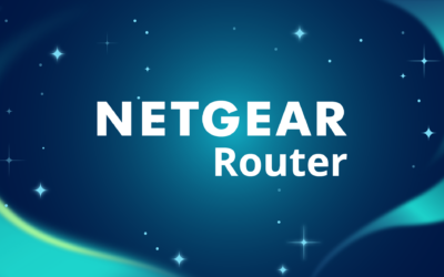 Netgear Domotz Agent (on router)